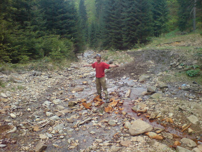 DSC02413 - asta da viata