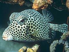 088 - poze muuuuuuuuuuuuuulte