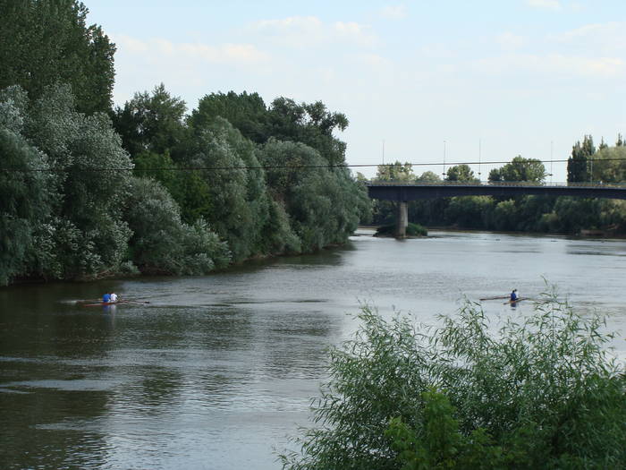 Memorial Sorin Lobont Editia a IX a (2008) - Memorial Sorin Lobont Editia a IX a - 2008