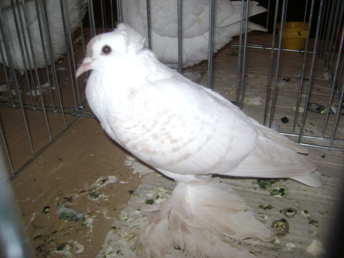DSC08097