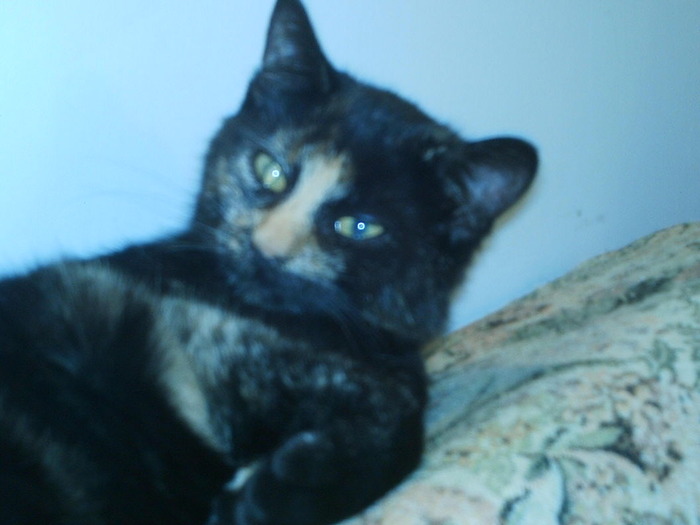 IMAG0051