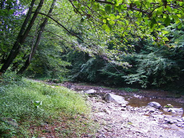 DSCF5057