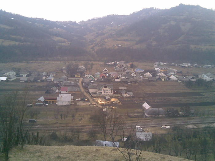 29032009(006) - asta da viata