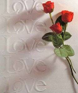 love_trandafiri_rosii