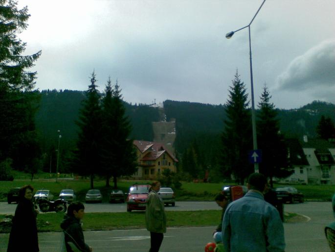 27042008 - vanatoare padure
