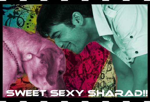 rc7tcz - Divyanka si Sharad