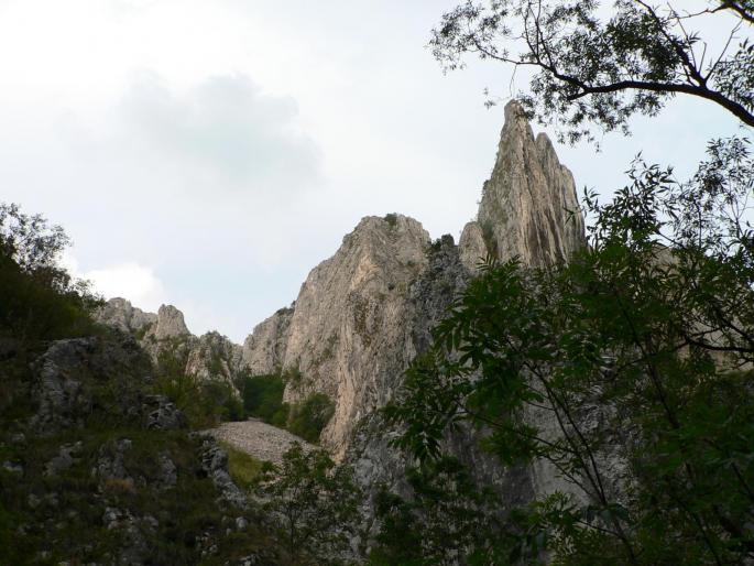 P100086