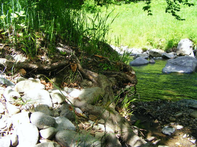 DSCF2106 - hai hui prin Maramures