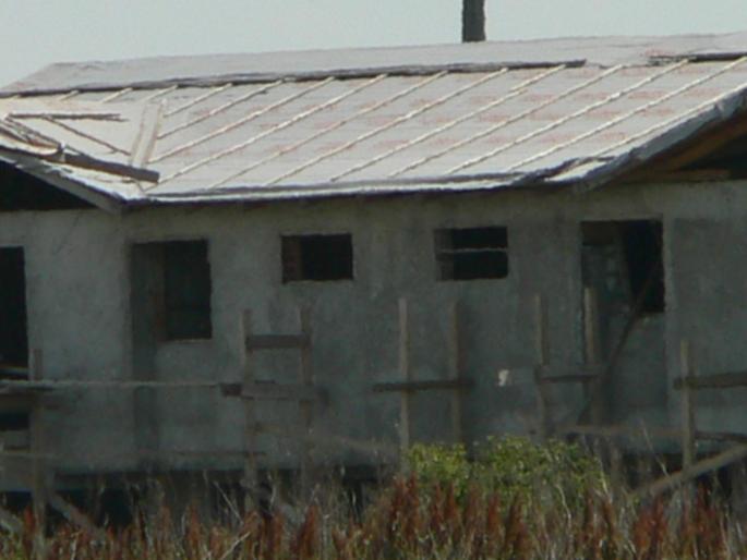 P1000209 - 2007 in plimbare prin herastrau