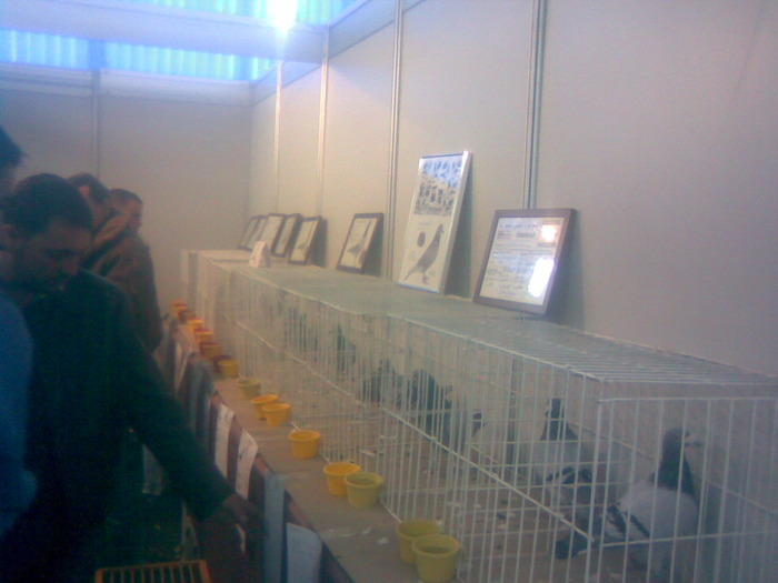 Imag069 - S -Expo Cluj 24-25 Octombrie