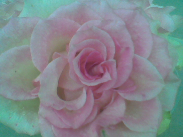 Imag045
