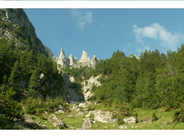 urcand spre Coltii Morarului - Maria Sa MUNTELE