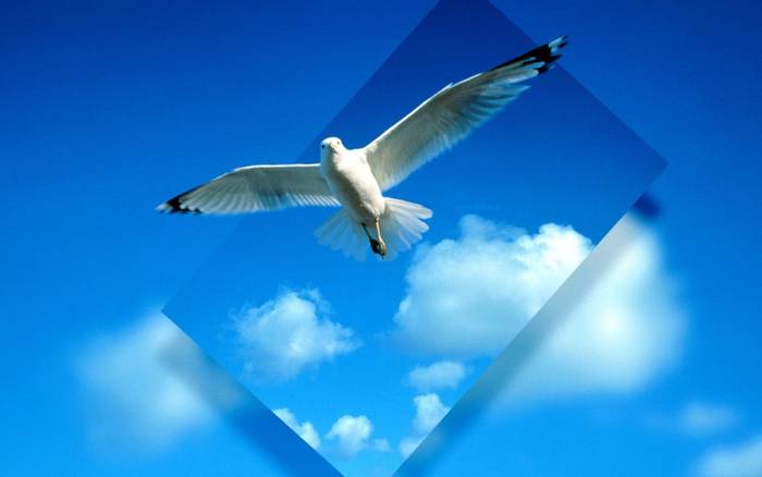 Gaining-Perspective - Glass Wallpapers