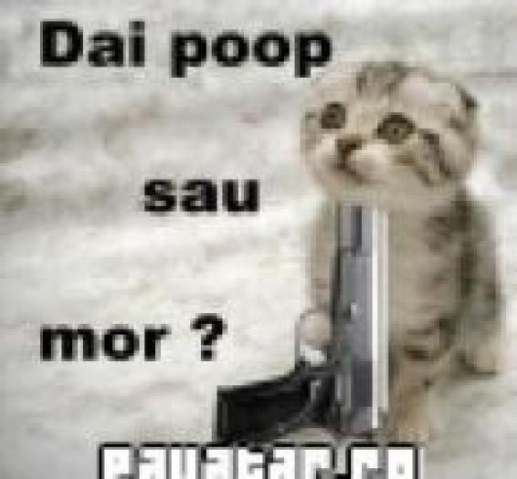 UTJUCCFVPDGMGPMEBFW - poze animale