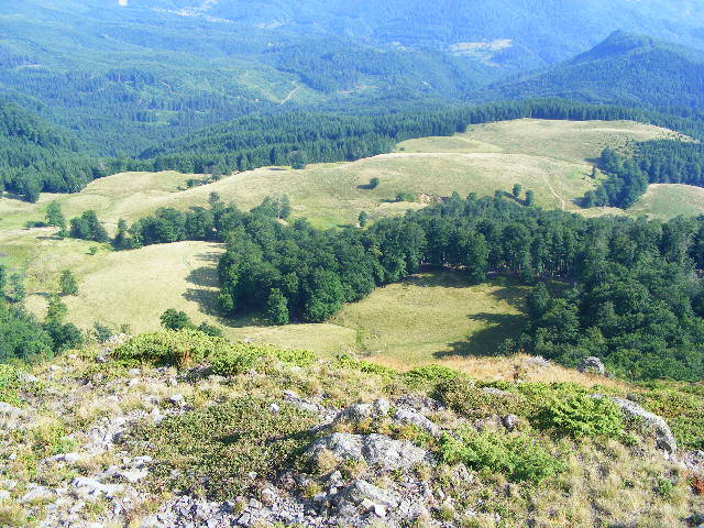 DSCF4482