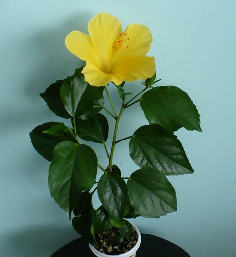 P1140405