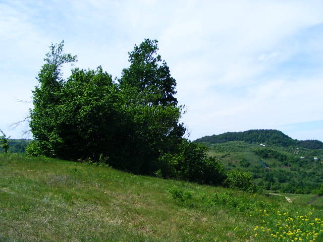 DSCF0548