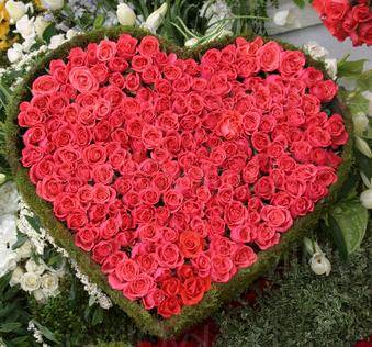 red_roses_heart1[1]