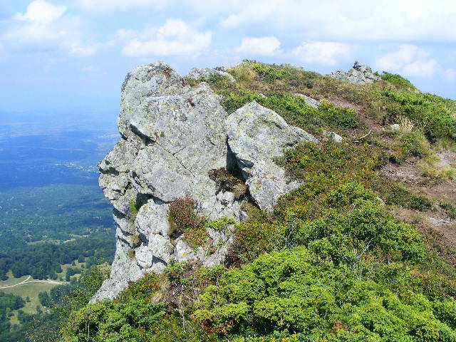 DSCF4376 - 2 august 2009 Traseu Suior Secatura Creasta Cocosului Gutaiul Doamnei  Vf Gutai