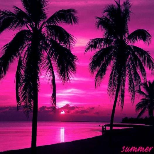 pink-summer-sun-set