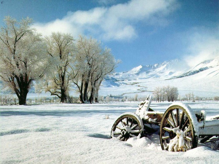 [www.fisierulmeu.ro] peisaj-de-iarna-wallpaper_1024x768 - poze iarna