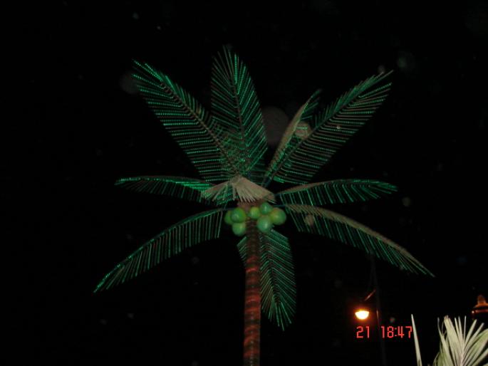 455  Israel - Eilat - 2008 ISRAEL NOIEMBRIE