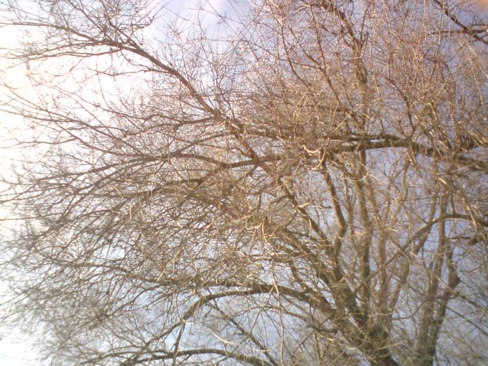 DSC00007