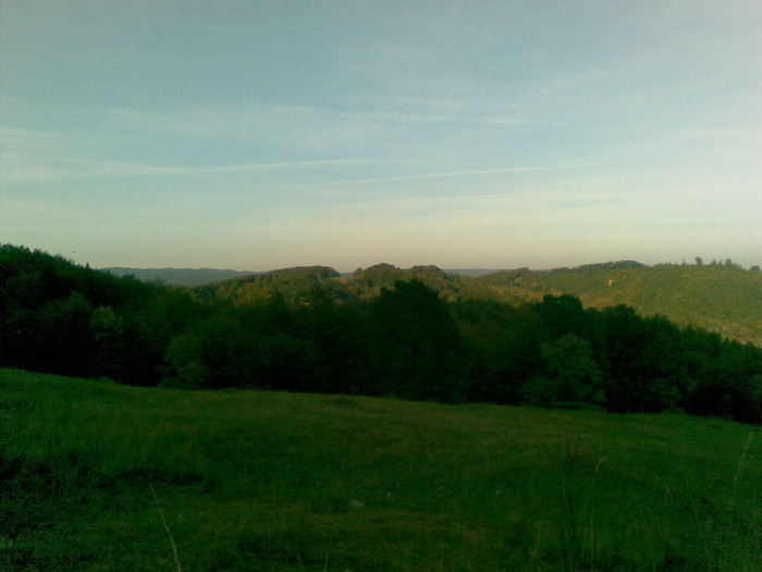28092009(001) - vanatoare padure