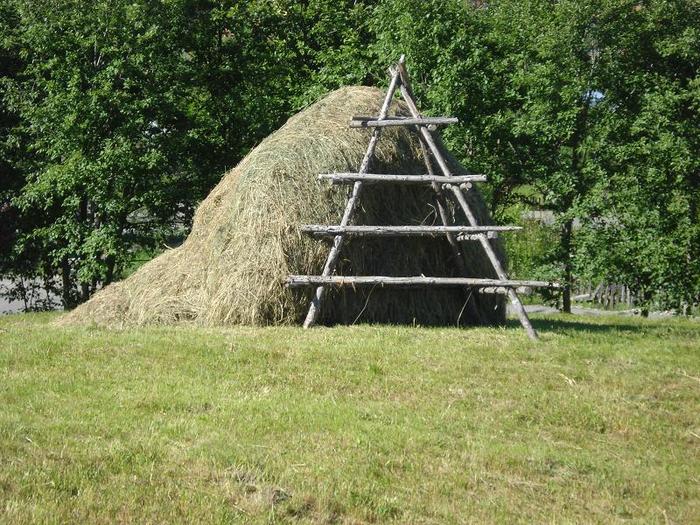 Valea Doftanei - Secaria (81)