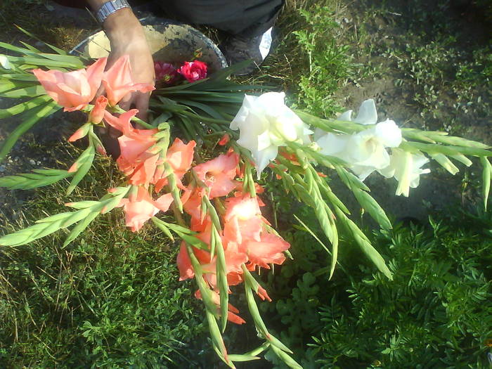 DSC00671