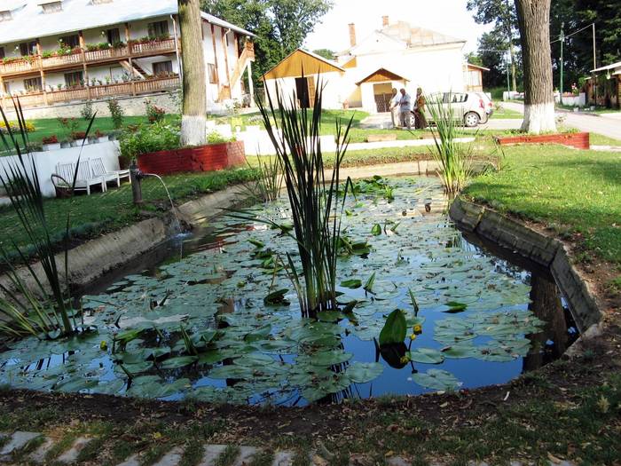 roman 051 - Miclauseni - Iasi