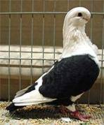 anatolien
