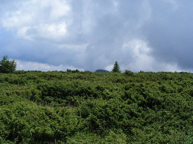 DSCF3140