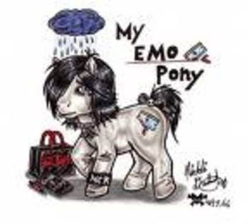 pony