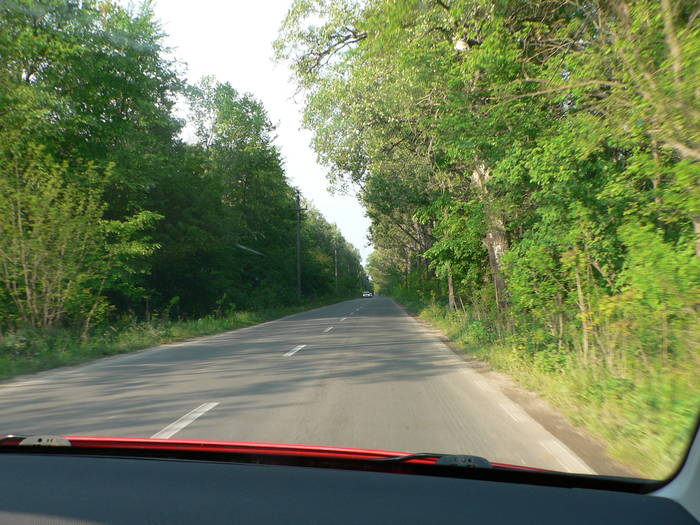 P1040919