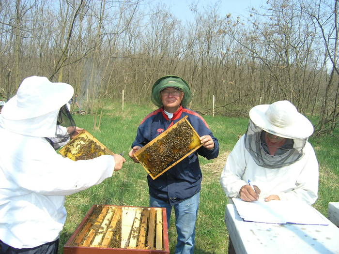 P4071965 - Carnica Banatica