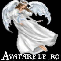 156 - POZE