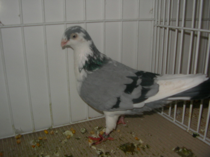 SANY0107