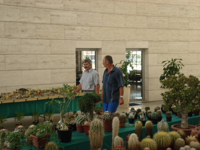 DSC09693 - Colectionari