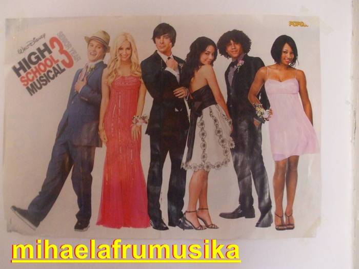 poster hsm - LUCRURILE MELE