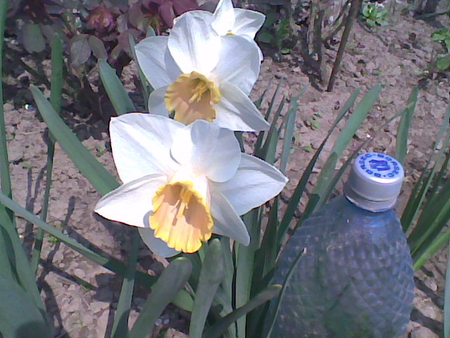 Imag062