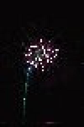 50_24a53468c7977ef941bca8845e2562a6