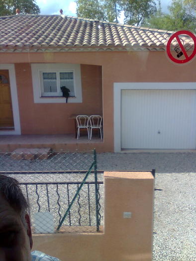 Imagine1419 - ApiMondia