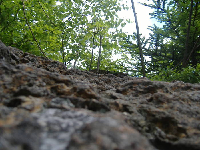 DSCF6028
