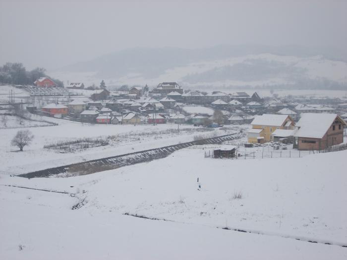 Iarna la Medias -Cartier Teba