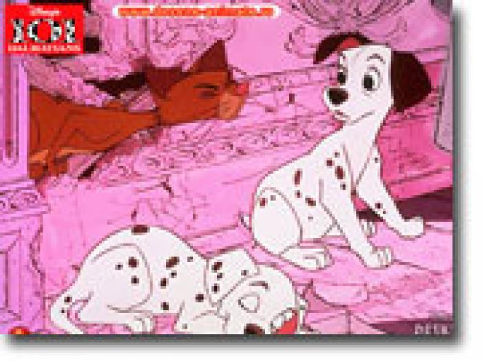 poze-poze-cu-101-dalmatieni-101