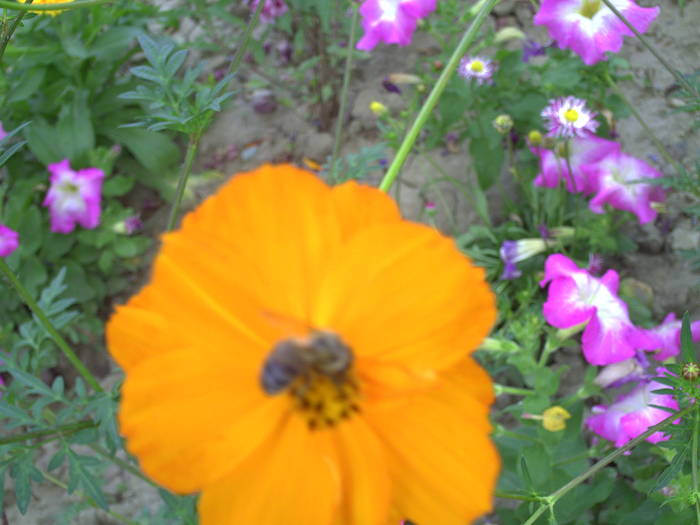 PICT0092
