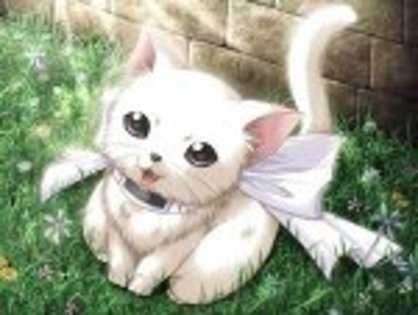 Cute_Cat_by_Tess_Pink - poze animate