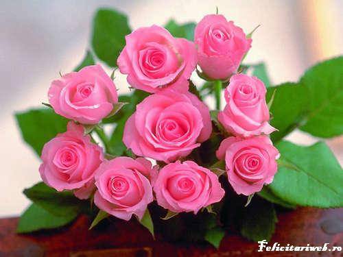 Trandafiri_rozi - Flori