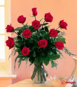 d7434866_0050000791192_00_600